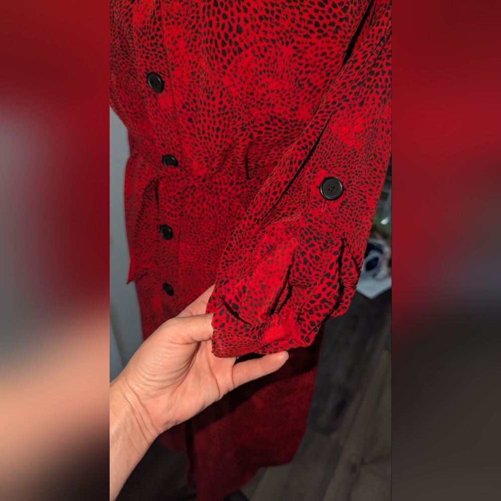 Red Button-Up Dress - Picture 4 of 5